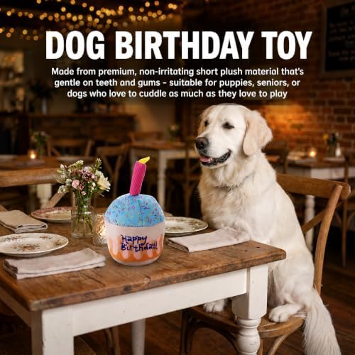 Dog Birthday Cake Squeak Toys, 1 Pcs (Big Cake)