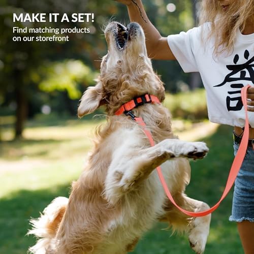 Reflective Dog Collar, Quick-Release Buckle (Coral, 14-18 Inch)