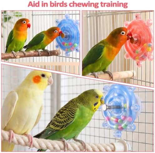 2 Pcs Bird Toys for Parakeets Budgie Toys Parrot Wheel Toy