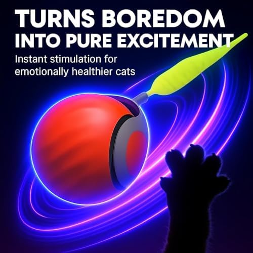 Pawvion Moving Ball Cat Toys with Feather Tail, Rechargeable 2025 New Interactive Toy for Indoor Cats Exercise, Smart Interactive Kitten Rolling Ball, Orange Color