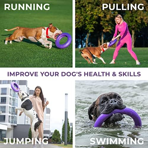 COLLAR Puller Dog Toy Ring for Small Medium Large Dogs Fetch Floating Disc