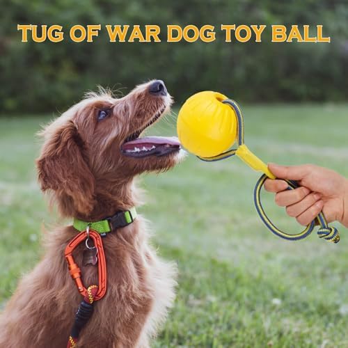 Dog Ball On a Rope Dog Toy, Floating Foam Dog Ball with Rope, Tug Ball Toy for Small Medium Large Dogs Fetch, Catch, Throw, Training (Yellow)