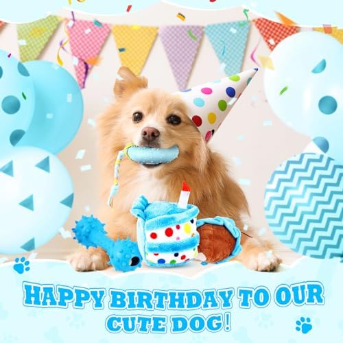 RoundFunny 11 Pcs Dog Birthday Toy Gift for Dog Birthday Cake Puppy Girl Boy Squeak Toys Interactive Puppy Gift with Box for Small Medium Size(Classic,Blue)