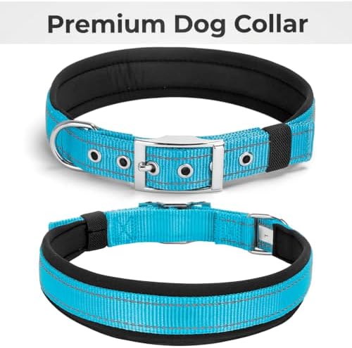 Reflective Dog Collar for XLarge Dogs Wide Padding 6 Holes Adjusta