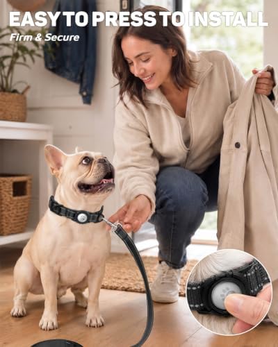 Padded Dog Collar with Waterproof Holder Compatible with Airtag