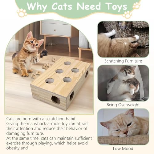 kathson Whack A Mole Cat Toy, Wooden Enrichment for Indoor Cat, Interactive Kitten Puzzle Toy for All Ages Cats Intelligence Training and Exercise (Rectangular)