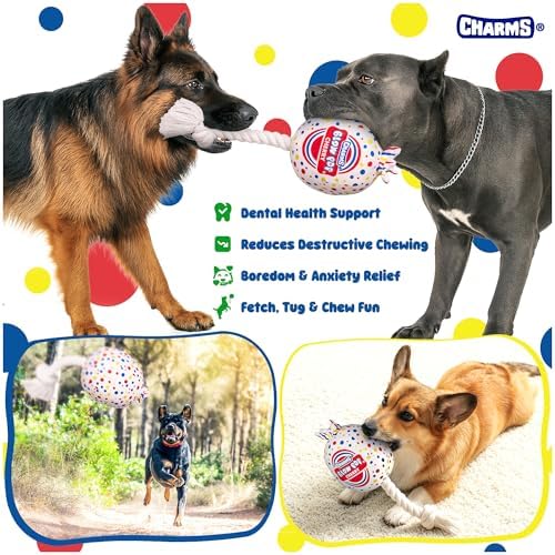 Blow Pop Plush & Rope Dog Toy – Scented Squeaky Plush with Durable Rope Stick – Tug, Fetch & Chew Toy for Dogs – Available in Jumbo & Medium Sizes – Apple, Cherry, Grape & Watermelon