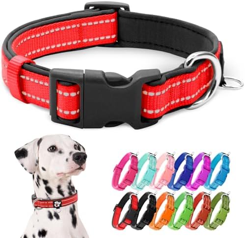 azuza Reflective Dog Collar,Soft Neoprene Padded Pet Collar with ID Tag Ring,Adjustable for Large Dogs,Red,L