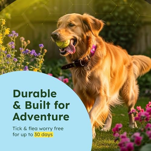 BugMD Paw Guardian Flea and Tick Prevention Pendant for Dogs