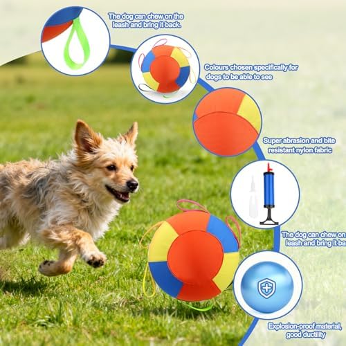 AIERSA Herding Ball for Dogs,9.85 in Tug of War Dog Toy with Handles for Outdoor Play,Dog Soccer Ball Toy&Training Toy Balls for Australian Shepherd,Interactive Toy Balls for Small&Medium Dogs