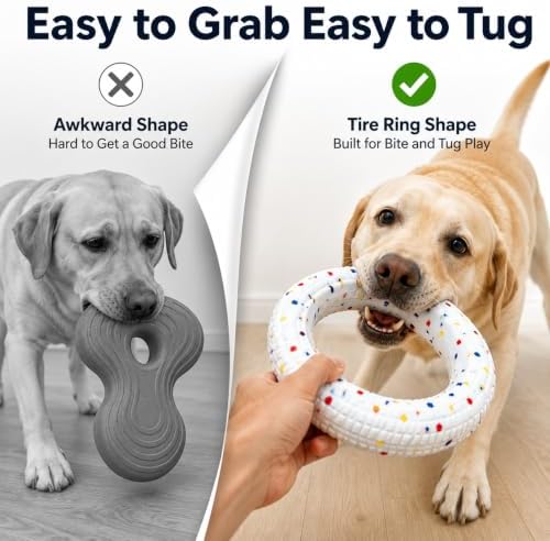 Durable ETPU Dog Ring Toy - Tough Interactive Fetch & Chew Toy for Aggressive Chewers, Lightweight Floating Water Toy, Puppy Teething Ring for Medium and Large Dogs (Colorful Speckles)
