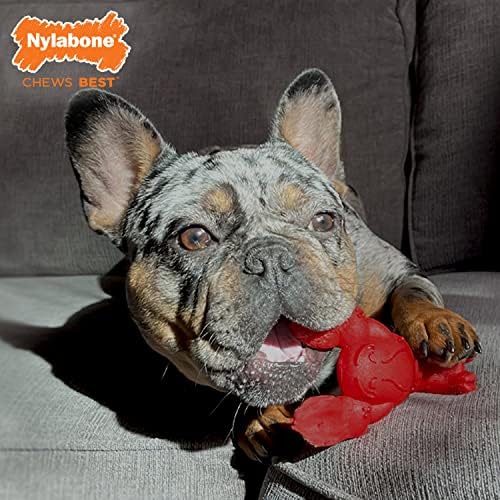 Nylabone Lobster Power Chew Toy for Dogs, Dog Toys for Aggressive Chewers