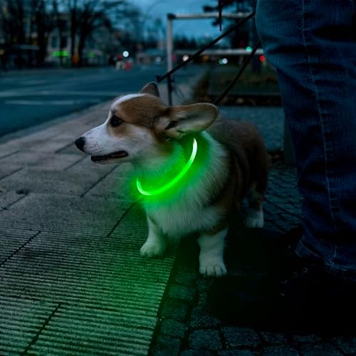 Flashseen LED Dog Collar, USB Rechargeable Glow Lighted up Collar, Green