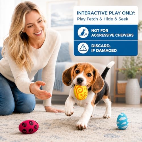 SunGrow Dog Chew Toy, Natural Rubber Squeaker, Interactive Fetch Ball, 3 Pc
