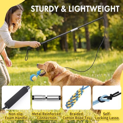 Flirt Pole for Dogs Heavy Duty - Upgraded 33" Detachable Dog Pole Toy with 5 Varied Lures, Includes XL Carry Bag