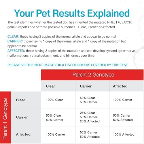Dog Collie Eye Anomaly Choroidal Hypoplasia (CEA/CH) DNA Test | Home Sample Collection Kit for 1 Dog | Results in 10-15 Working Days | A Complete Kit with No Extra Fees