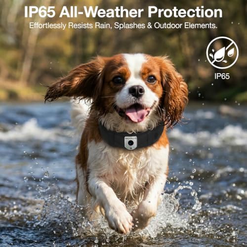 GPS Wireless Dog Fence No Subscription, Full App Control, Custom Virtual Fence, WiFi & SIM Card Supported, First‑Person View, Two‑Way Audio, Adjustable for Medium & Large Dogs