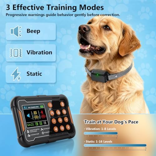 Dog Invisible Fence System with Real-Time Distance Display, 1 Acre