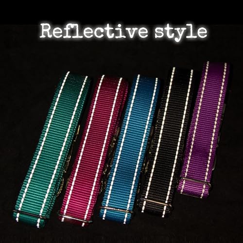 Personalized Reflective Dog Collar - Custom Pet Name, Phone Number & Address Engraving, Adjustable Sizes XS/S/M/L/XL, Optional Leash & Airtag Holder for Small/Medium/Large Dogs