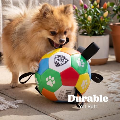 Maccabi Interactive Dog Soccer Ball for Dogs, 6” with Straps & Grab Tabs, Floats on Water, Fetch & Training Toy for Small/Medium Dogs, Herding Breeds, Waterproof Non-Toxic – ProBall Pets – Multicolor