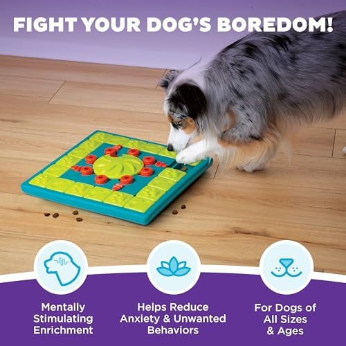 Outward Hound Nina Ottosson MultiPuzzle Dog Toy Treat Puzzle, 15" | Level 4 Expert, 28 Hidden Treat Compartments, Holds 1 Cup Kibble or Treats, Easy Clean, No BPA, Enrichment, Dogs & Puppies