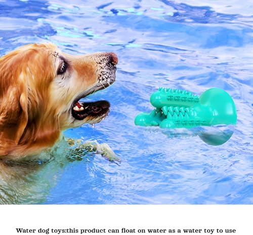 lilaBelle]【Cactus Dog Toy New Dental Stick for Dogs - Teeth Cleaning & Stress Relief Chew with Sound, Treat Dispenser, TPR Safe Material, Sizes Dogs, Home/Park/Garden (Saudi Pets)