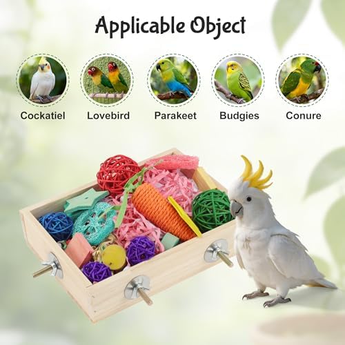 Bird Foraging Toys Box, Wooden Foraging for Birds, Colorful, M