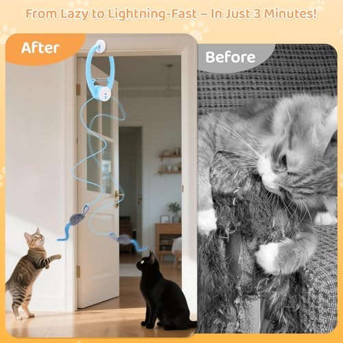 Automatic Interactive Cat Toys for Indoor Cats Hanging Cat Toy, Blue