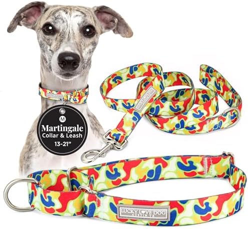 Lucky Love Dog Martingale Collar & Leash Set No Slip Cute – Oscar, Medium