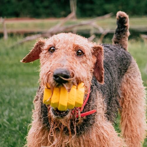Hive Chew Toy for M/L Dogs – Yellow/Unscented – Chew, Fetch, & Treat-Dispensing Enrichment Toy, Floats, Made in USA, Pairs with Hive Chew Sticks for M/L Dogs for Longer-Lasting Play
