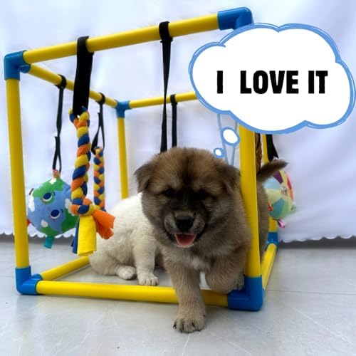 Puppy Play Gym with 8 Hanging Toys, Small Dogs Indoor Enrichment Jungle Gym