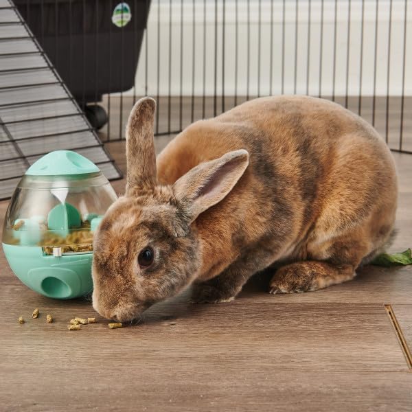 Oxbow Enriched Life Wobble Teaser Toy for Rabbits, Guinea Pigs, Hamsters, Rats