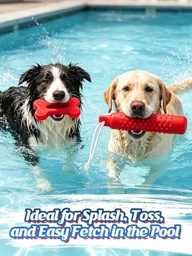 MEWTOGO 2 Pack Interactive Dog Pool Toys