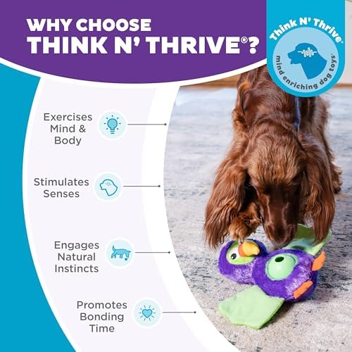 Outward Hound by Nina Ottosson Hide-Ablez Plush Dog Puzzle with Treat Ball, Toucan, Multicolored