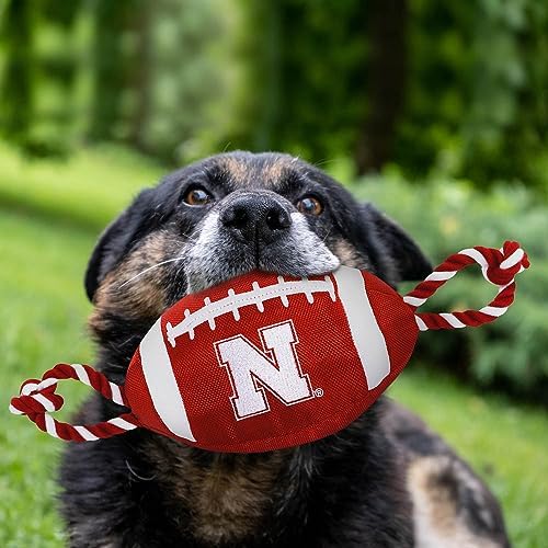 Pets First NFL Unisex NFL Nylon Football