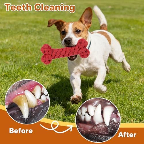 3 Pack Cotton Rope Dog Toy Set, Indestructible Chew Toys for Aggressive Chewers, Puppy Teething Toys with Bone, Human & Chinese Knot Designs for Boredom Relief & Tug of War， Red