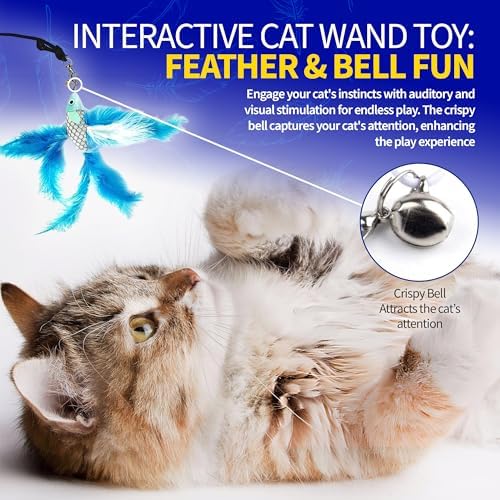 PET FIT for Life 2 Fish Feather Wand CAT Toy