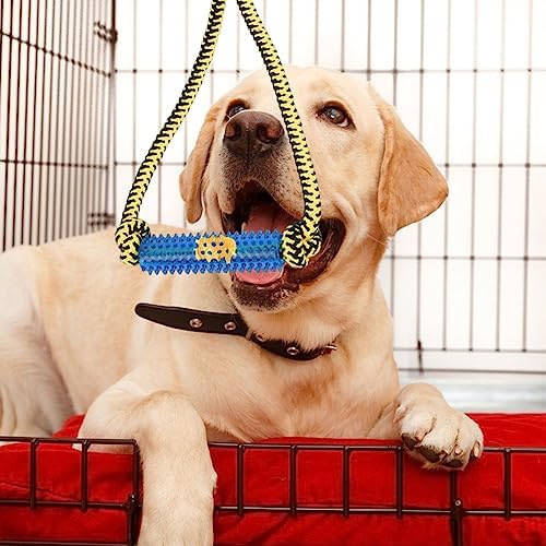 Interactive Dog Toys，Crate Training Aids for Puppies，Blue