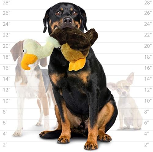 MIGHTY Tuffy 2 Pack Vulture Dog Toys