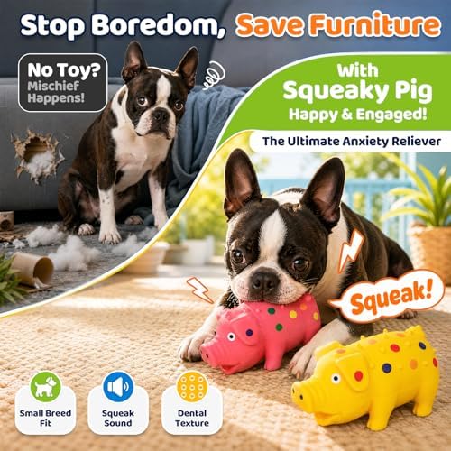 POPLAY 3 PCS Squeaky Latex Grunting Pig Dog Toys, 4 Inch Durable Rubber