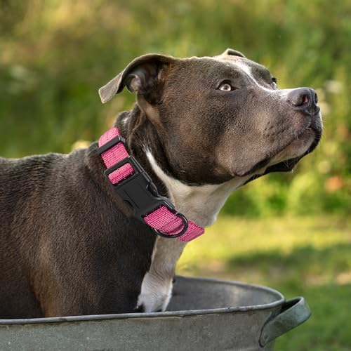 Mile High Life Reflective Dog Collar, Adjustable Lightweight Quick Release