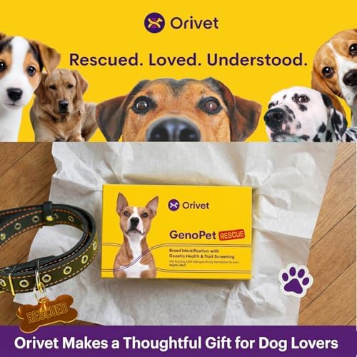 ORIVET GenoPet Rescue Dog DNA Test, Breed ID, Health, Easy At-Home Swab Kit | Results in 3-5 Weeks