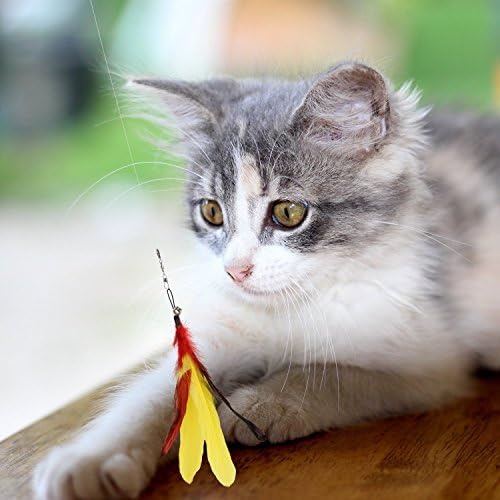 Pawaboo Interactive Cat Toys for Indoor Cats, Cat Wand Toys