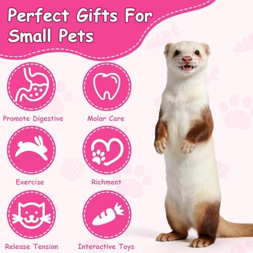 17Pcs Ferret Toys Set, Interactive Chew & Enrichment Toys for Small Pets