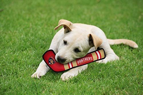 NHL Florida Panthers Stick Toy for Dogs & Cats. Play Hockey with Your Pet with This Licensed Dog Tough Toy Reward!