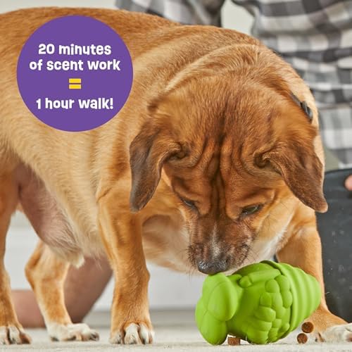 Brightkins Tough & Tumble Treat Dispenser Small Gnome - Tough Dog Toys, Interactive Puppy Toys, Puzzle Feeder for Dogs, Dog Treat Dispensing Ball, Mental Stimulation for Dogs, Enrichment Toy, Pet Toy