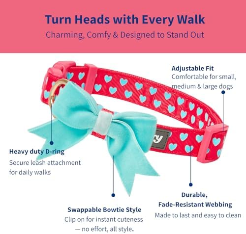 Blueberry Pet Dog Collar with Bowtie, Neck 14.5-20" Adjustable for Medium Dogs, Lust Red Heart Design, Valentines Day Girl Dog Collars, Non-Stretch, Secure Fit, Puppy & Female Dog Accessory