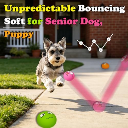 Latex Squeaky Dog Toys for Small Dogs, Mini Breeds, 2.2" Flat Ball