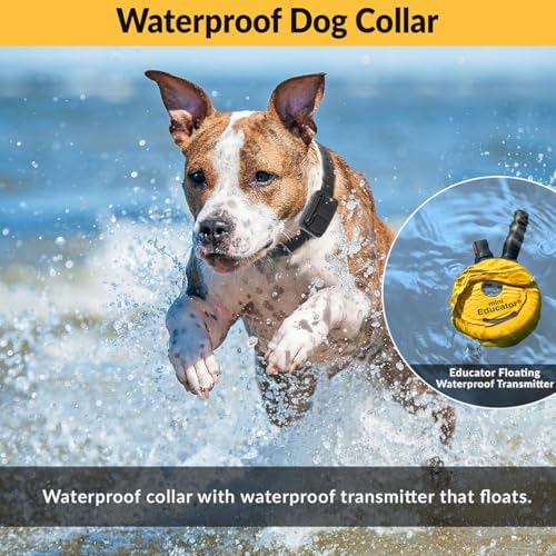 E-Collar Mini Educator ET-302 Remote Dog Training Collar, Yellow