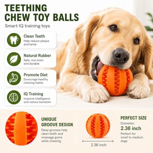 GASHIK Dog Treat Ball for Dogs, Rubber Dental Chew Toy for Dogs